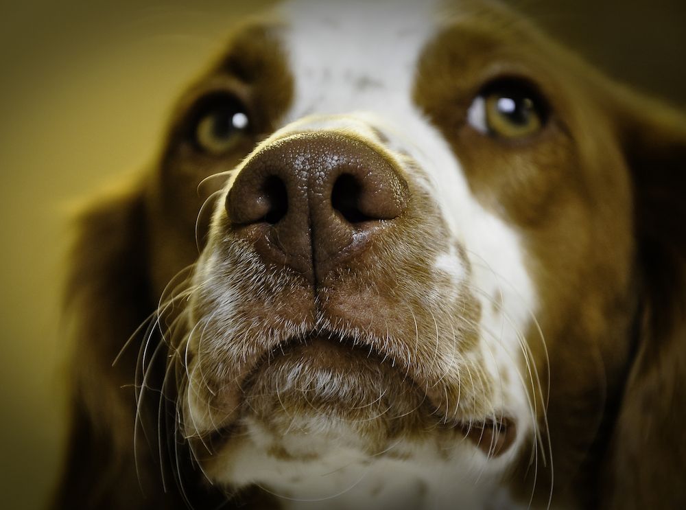 Editorial: April 29, 2022